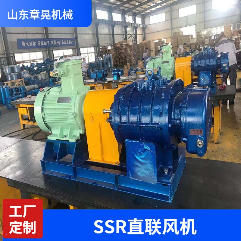 山东章晃SSR直联风机密集型罗茨鼓风机中日合资直供  SSR直联风机