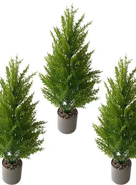Green Artificial Small Pine Tree for Living Room, Front Door