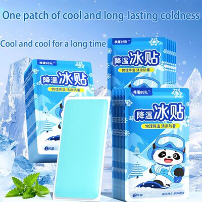 Summer heat dissipation and cooling multi-functional ice pat