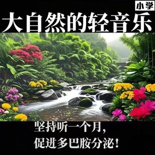大自然纯音乐白噪音减压疗愈流水声滴水鸟鸣声乐助眠MP3纯音乐u盘