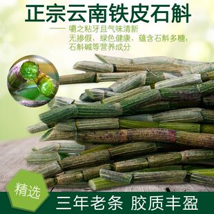 新鲜铁皮石斛鲜条枫斗干条花四年中药材正品 包邮 菲霍山雁荡山500g