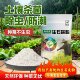 生石灰粉种菜杀虫菌消毒防潮除湿农用改良土壤净水树木刷白干燥剂