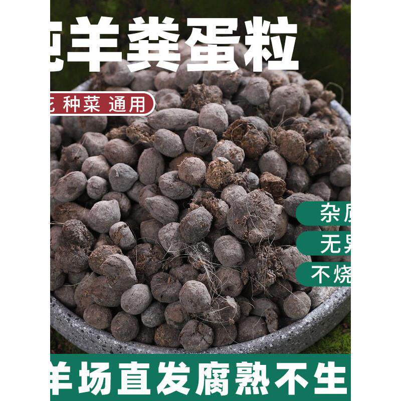 农家纯羊粪蛋粒发酵腐熟