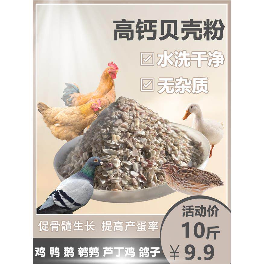 饲料贝壳粉鸡用喂鸡芦丁