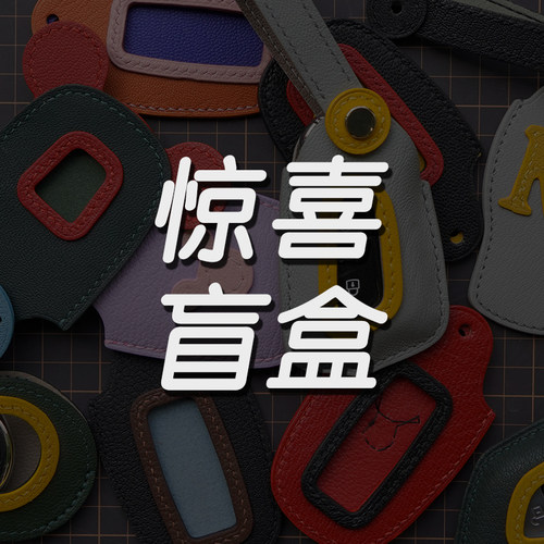 捡漏盲盒汽车钥匙套不换