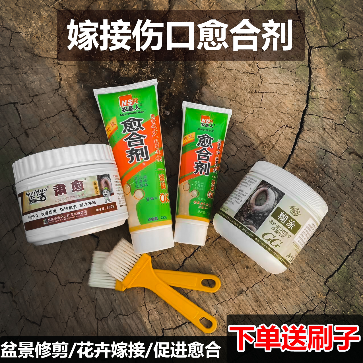 国光植物伤口愈合剂大树修复包邮