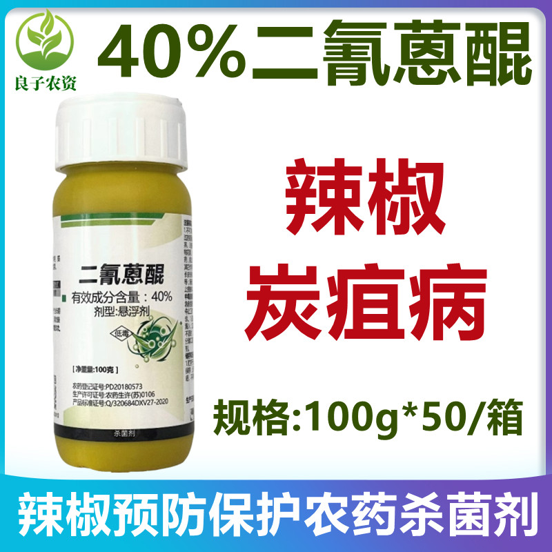 温青40%二氰蒽醌辣椒炭疽病防治专用药农药保护性杀菌剂悬浮剂