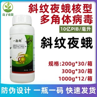 斜纹夜蛾核型多角体病毒蔬菜菜青虫棉铃虫蔬菜斜纹夜蛾农药杀虫剂