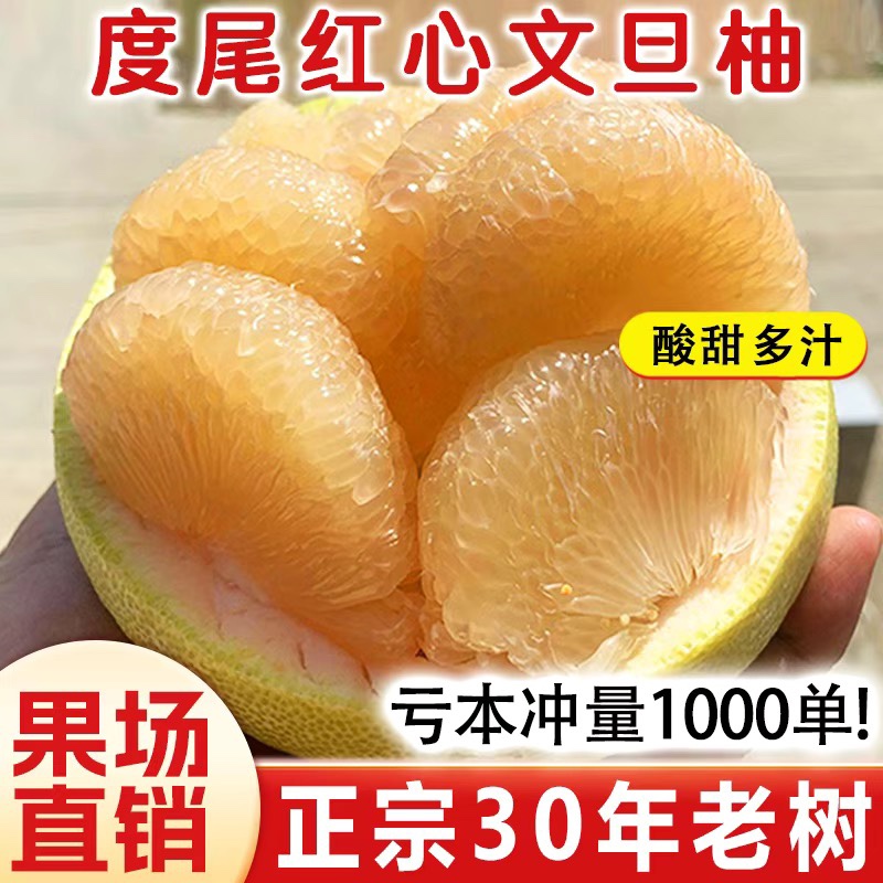 老树正宗福建度尾红心文旦柚柚子