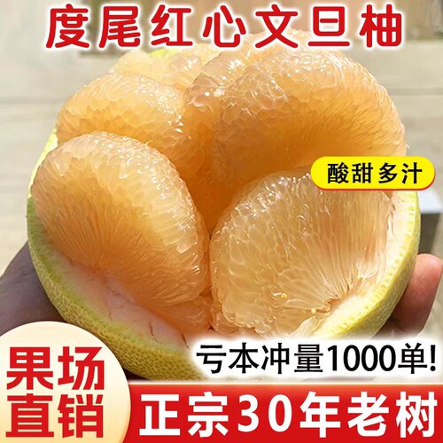 老树正宗福建度尾红心文旦柚柚子