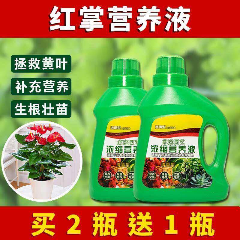 红掌营养液通用型红掌专用营养液