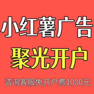 小红xhs书海外开户/聚光平台投放信息流广告乘风电商推广全国开户