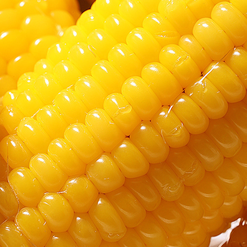 2023新鲜寻么纯正东北真空甜玉米