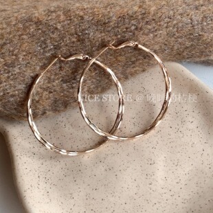 晚睡的桔梗「兜圈」日韩时髦细闪双圈耳环素圈气质大圈欧美耳饰女