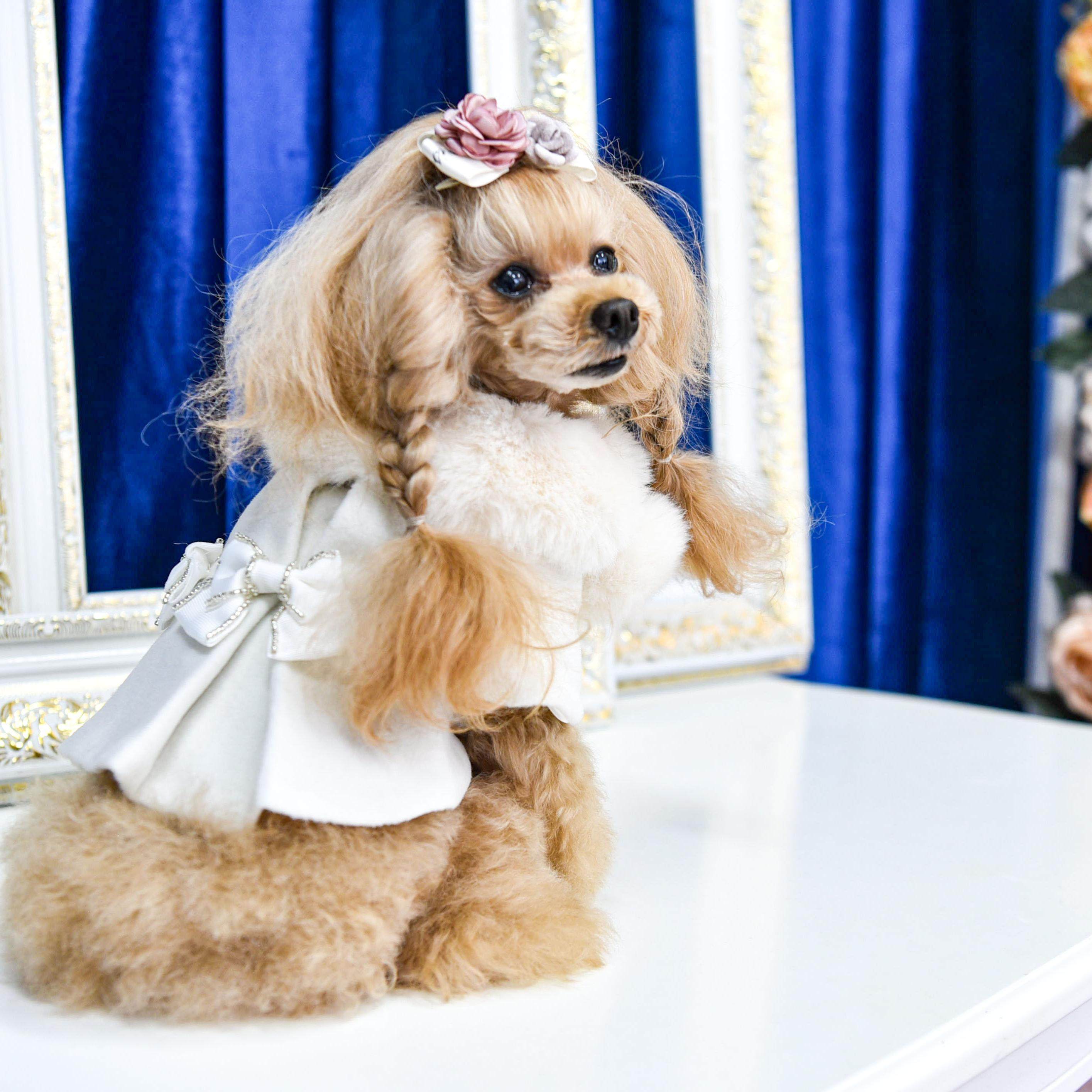 魅意Glamourism日本品牌宠物服装 露西亚 毛领毛呢外套 优雅女王