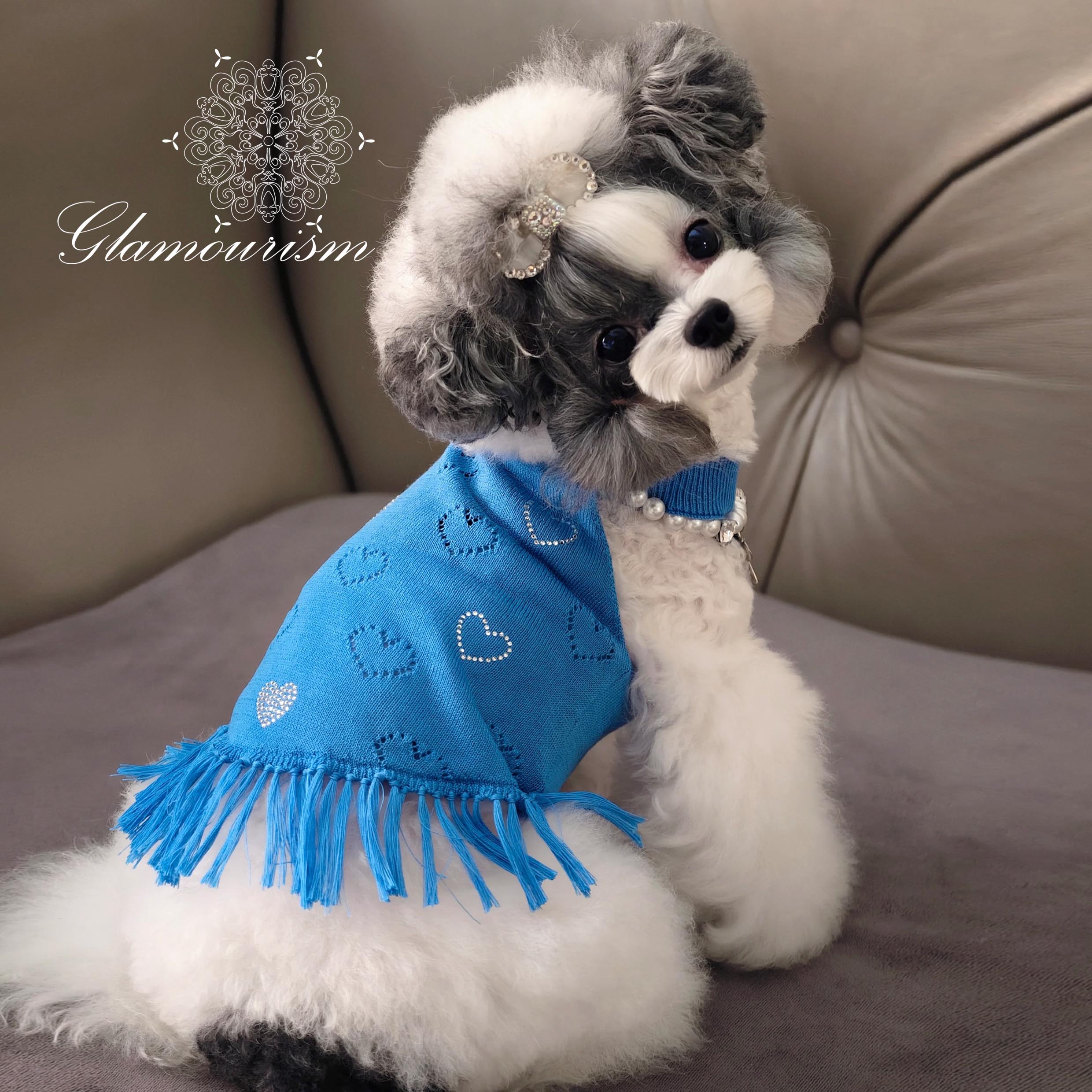魅意Glamourism日本品牌宠物服装 天丝闪钻流苏上衣 飘逸甜美凉爽