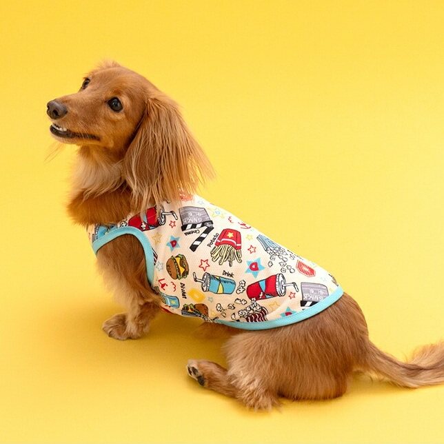 宠聊D's CHAT日本品牌宠物服装 速食宝宝水冷背心 网眼透气薄款