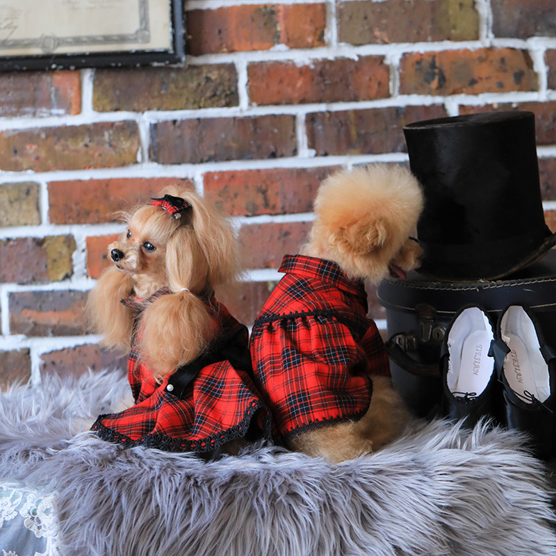 魅意Glamourism日本品牌宠物服装秋冬红色格纹连衣裙圣诞新年喜气