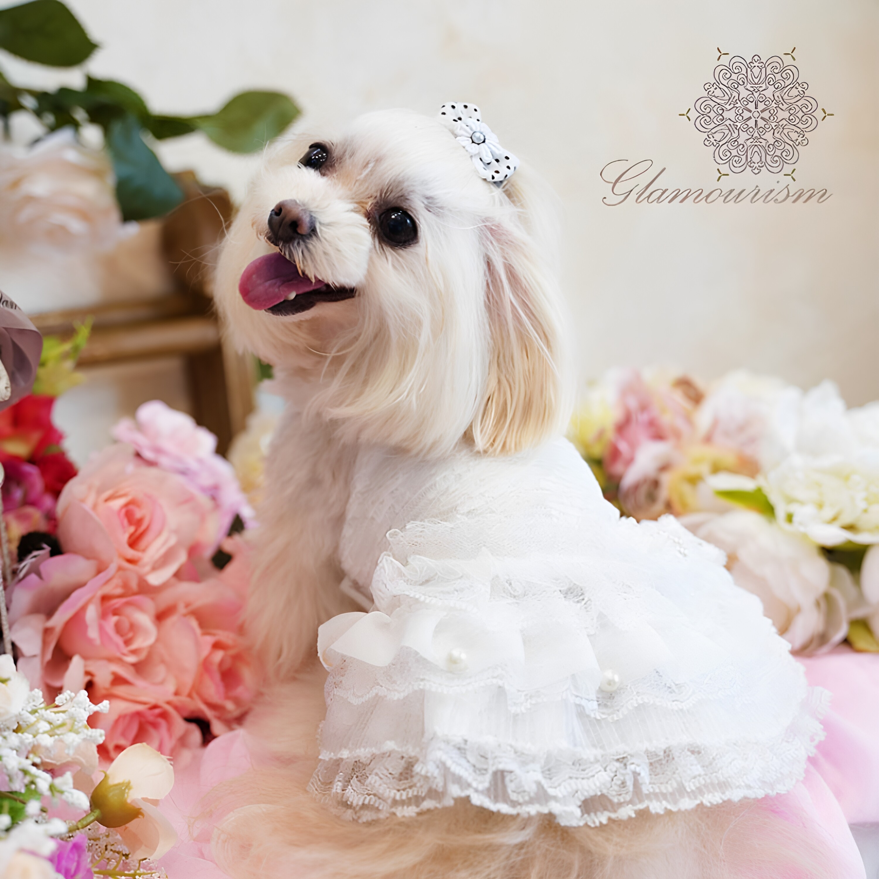 魅意Glamourism 日本品牌宠物服装 婕德白梦吊带裙 纯白甜美可爱