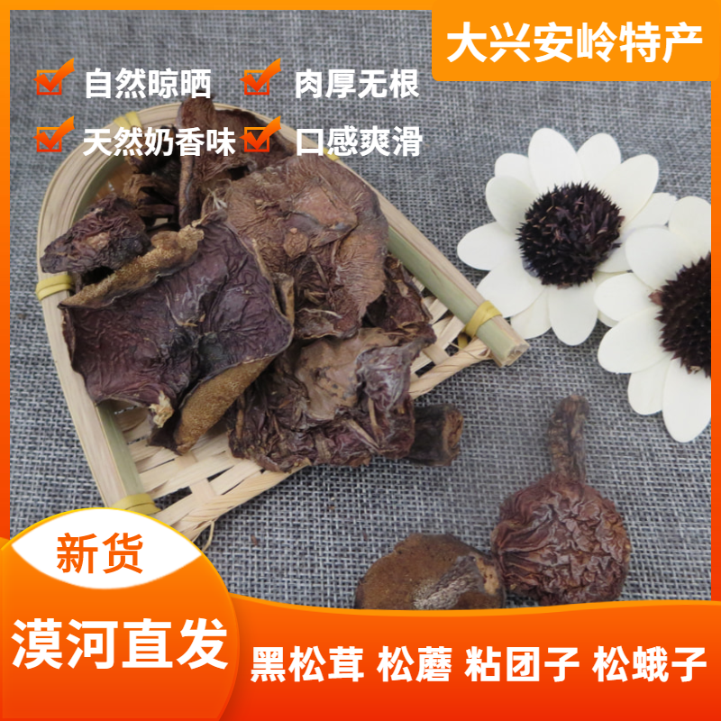 野生松蘑黑松茸粘团子松蛾子牛肝菌干货菌菇大兴安岭特产蘑菇250g