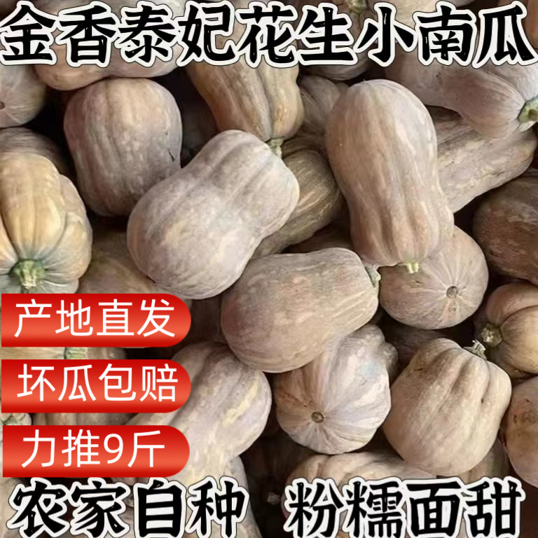 产地直发金香小南瓜花生南瓜