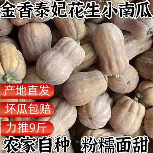 产地直发金香小南瓜花生南瓜