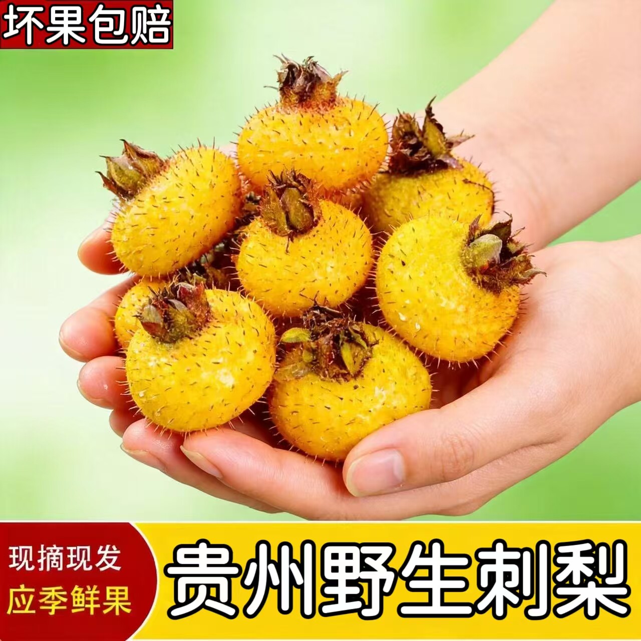 贵州野生刺梨鲜果泡酒泡水榨汁新鲜金刺梨现摘现发精选原产地直供