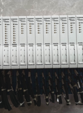 【议价】TURCK图尔克现场总线和远程IO模块DO40EX