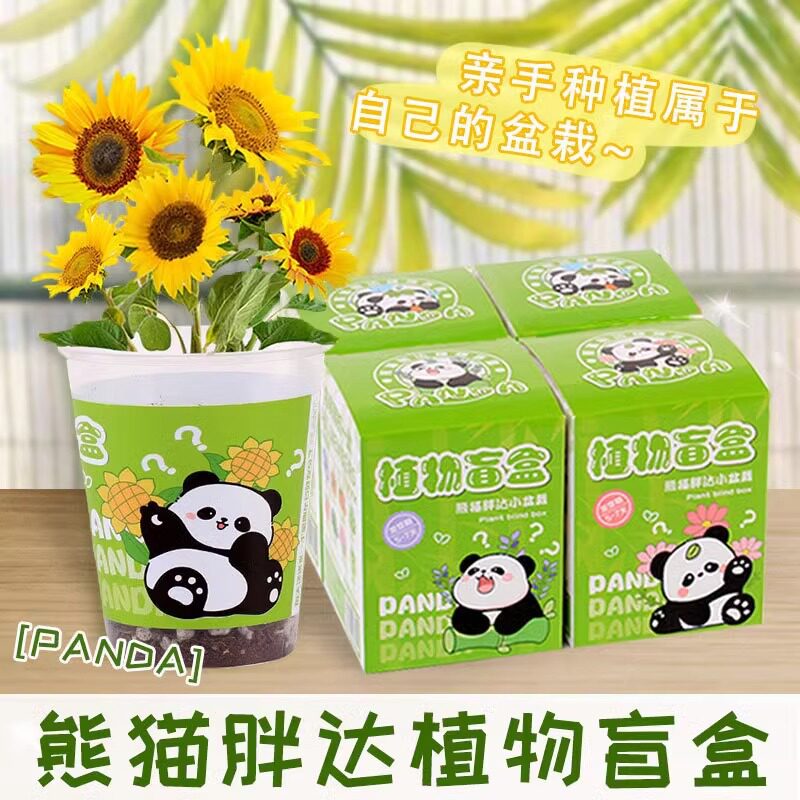 儿童植物盆栽种植盲盒小礼品｜