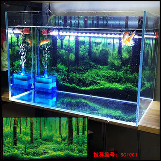 美宠展猷定制鱼缸背景贴纸蓝天白云水草瀑布壁画小鱼缸3d背自带胶