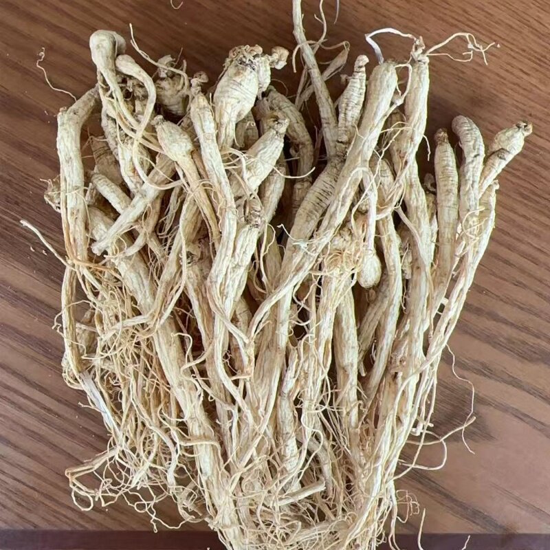 长白山脉人参小人参干参