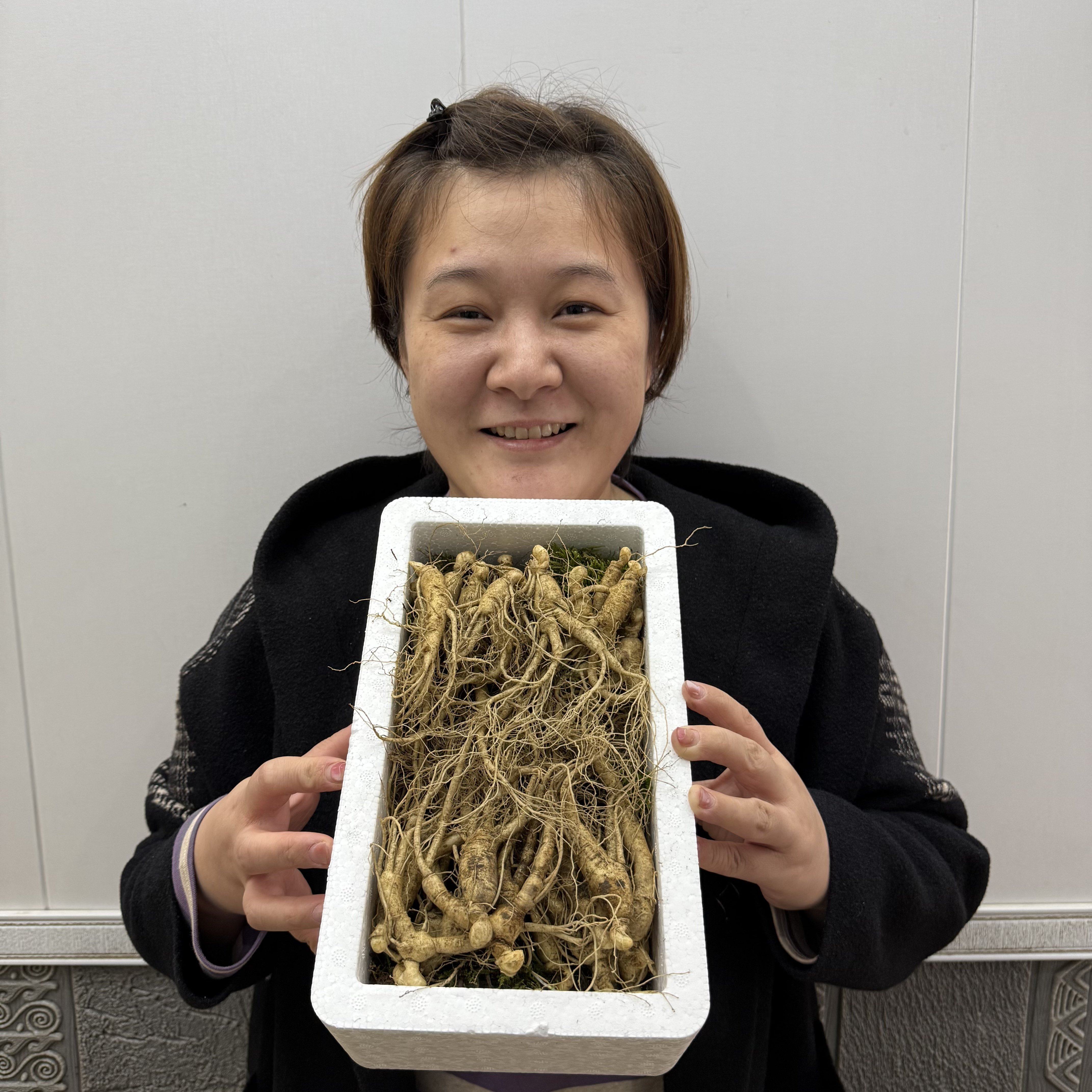 长白山脉新鲜小人参自家