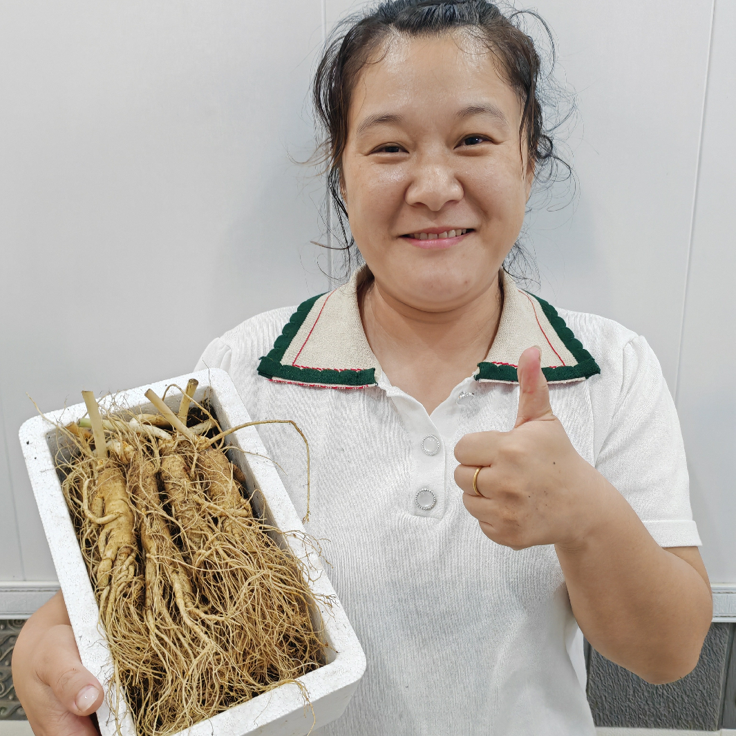 吉林長白山脈新鮮人參十支一盒裝，免費(fèi)送泡沫箱+苔蘚+冰袋+包郵