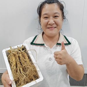吉林长白山脉新鲜人参十支一盒装