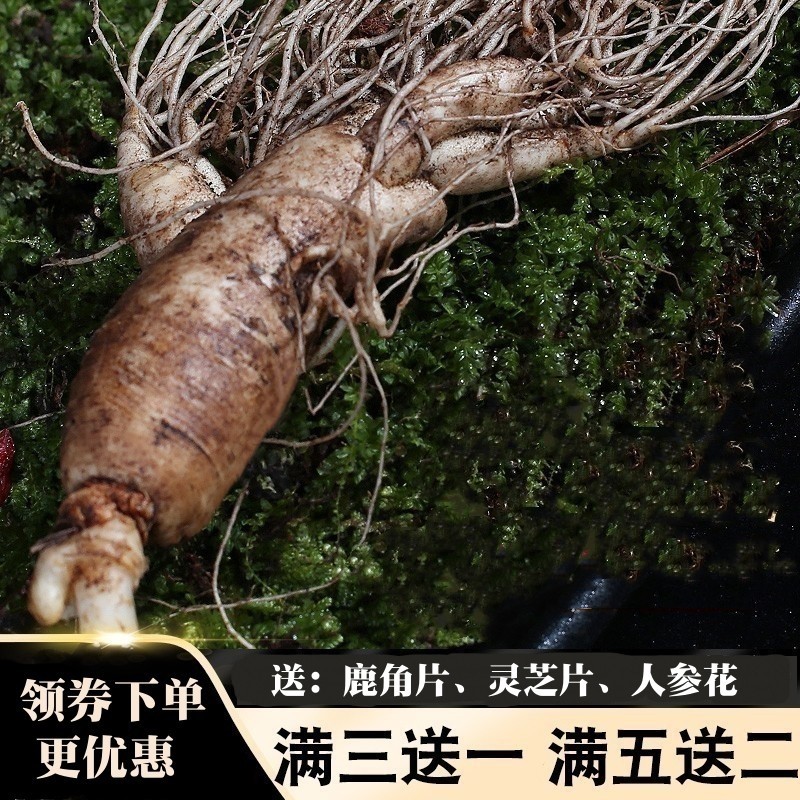 鲜人参泡酒长白山脉吉林