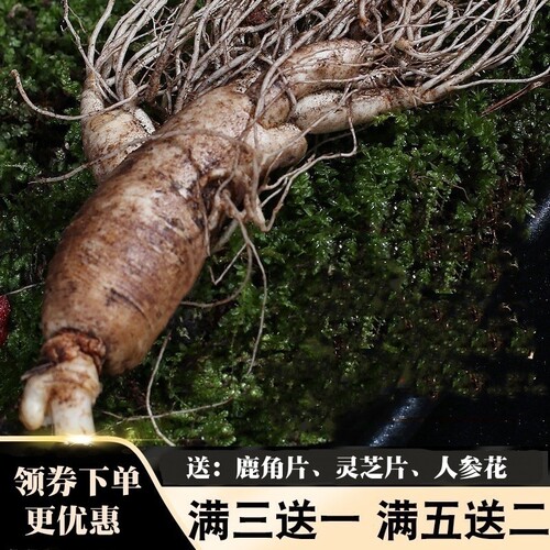 鲜人参泡酒长白山脉吉林