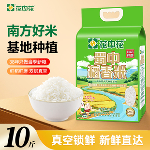 2025新米花中花蜀中稻香米5kg南方大米长粒籼米10斤真空一级大米