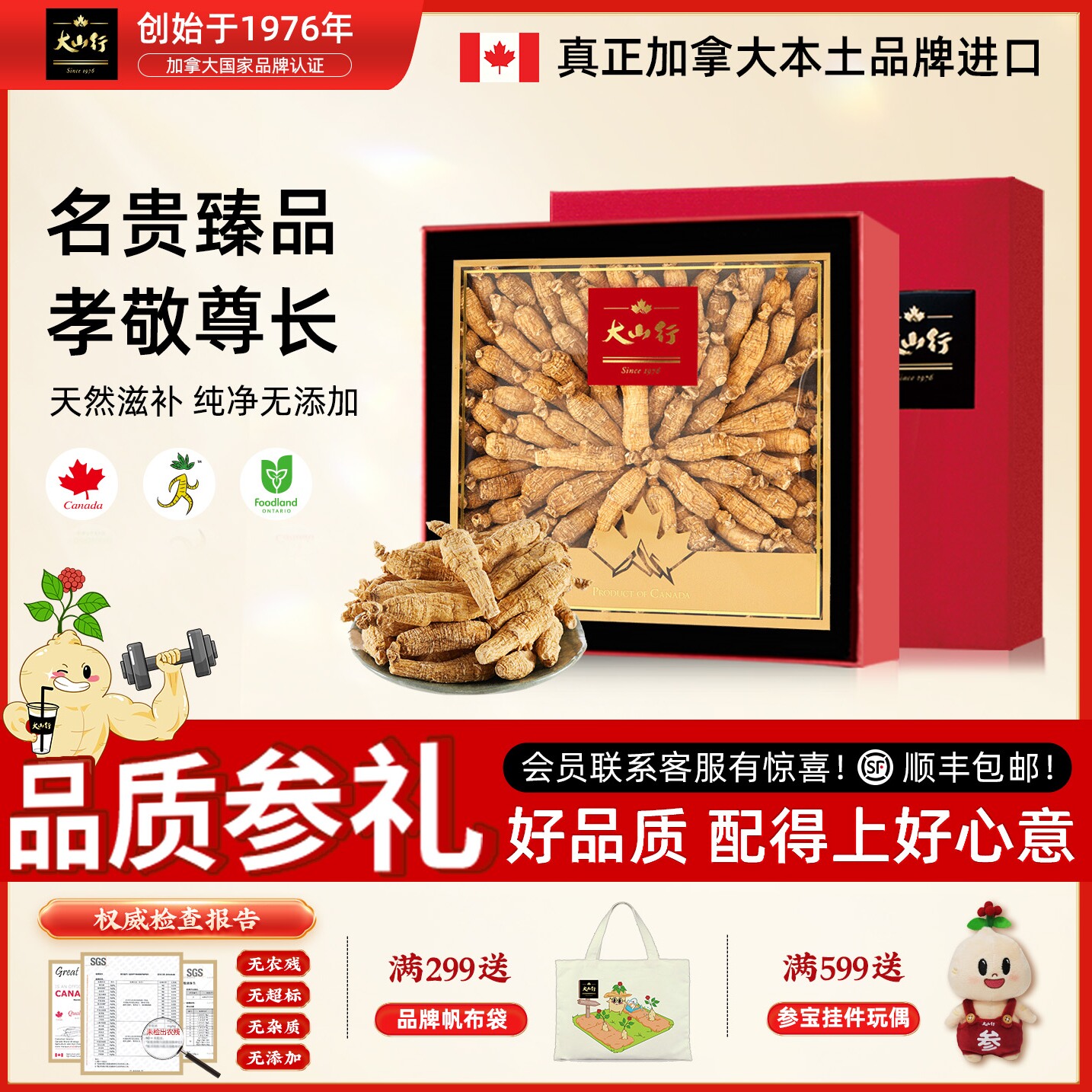 大山行西洋参2号长泡参 加拿大进口粒头花旗参227g国际认证