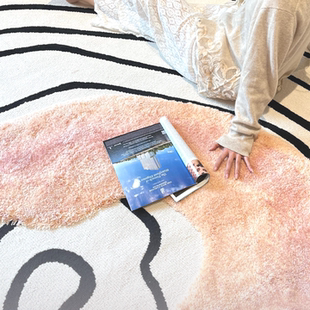 方寸美居法式地毯大宅标配耐脏宝藏毯进口羊毛地毯纯色客厅卧室