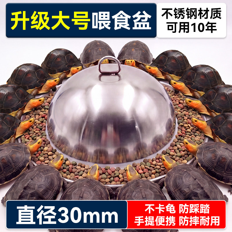 刺山龟大号喂食器鹰嘴龟喂食盆不喂食器