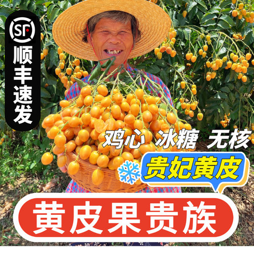正宗广东郁南无核黄皮果鸡心贵妃