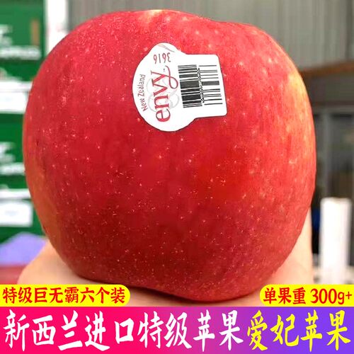 单果爱妃苹果多少钱 单果爱妃苹果价格 小麦优选