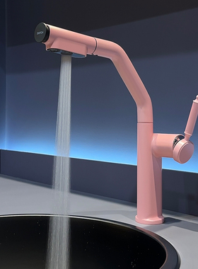 WINMV 多功能万向旋转抽拉阳台洗衣池厨房水槽洗碗池水龙头冷热