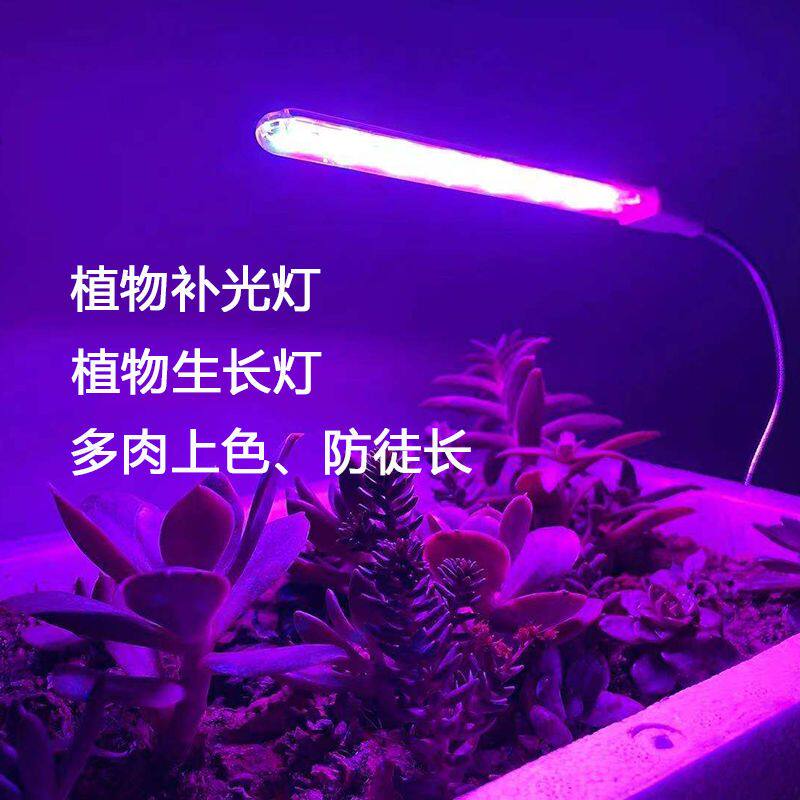 全光谱仿太阳植物生长灯多肉补光灯上色家用USB光合作用室内盆栽属于什么档次？