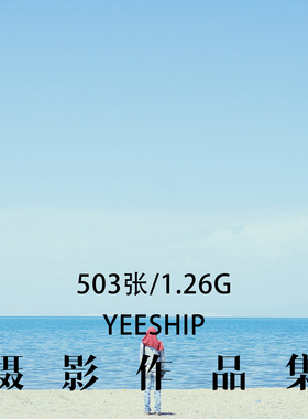 YEESHIP 世界摄影大师摄影集 后期构图审美艺术作品学习参考素材