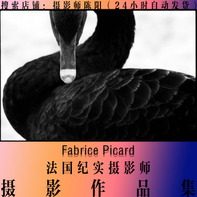 Fabrice Picard 作品集 纪实摄影作品集 摄影师合集