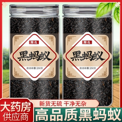 黑蚂蚁中药材正品食用黑蚂蚁干泡酒中药非蚂蚁粉长白山野生黑蚂蚁