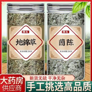 地锦草茵陈茶中药材正品官方旗舰店新鲜野生白蒿泡水的功效与作用