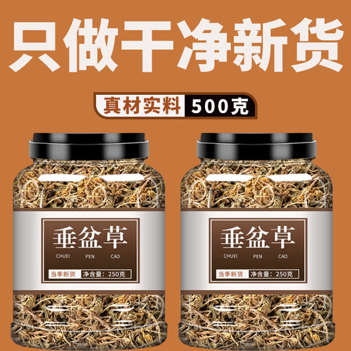 垂盆草中药材500g食用旗舰店