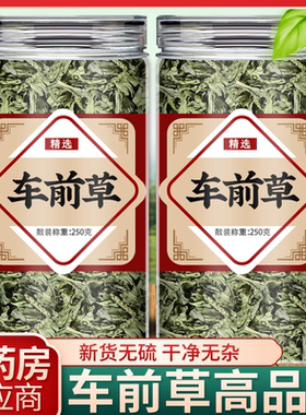 野生车前草泡茶新鲜干货纯天然整株车前草茶尿高酸泡茶绞股蓝